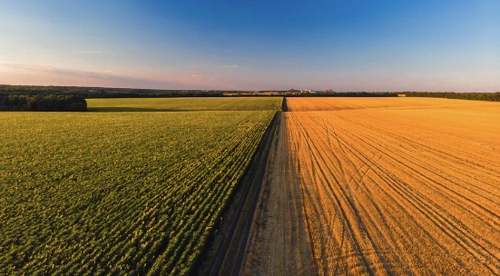 mudanças climáticas na soja