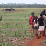 violencia no campo