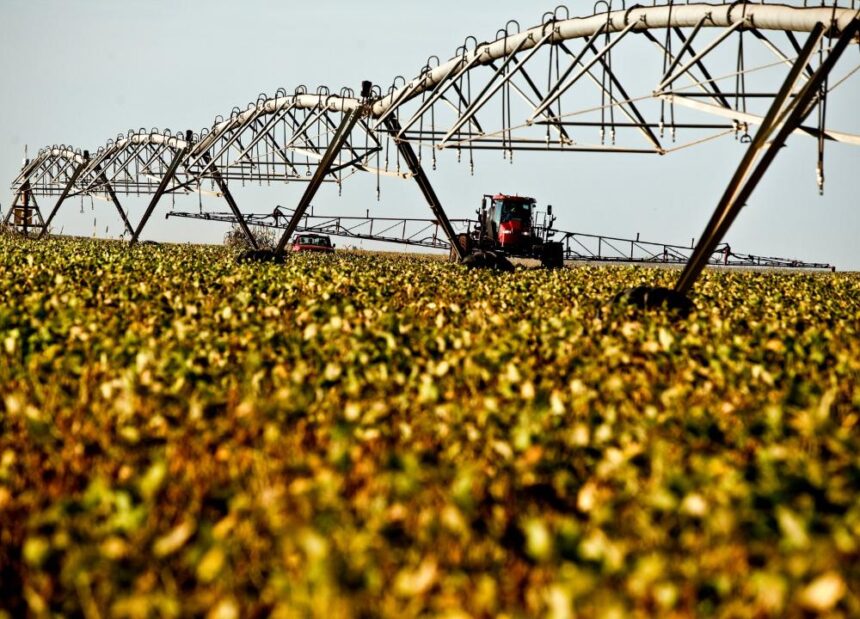 ranking das 100 cidades mais ricas do agro no Brasil em 2022, Economist, agronegócio